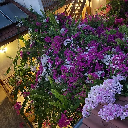 Su Hotel