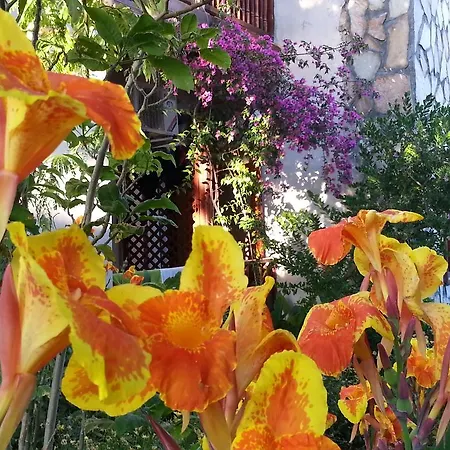 Su Hotel Dalyan
